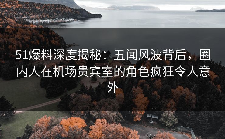 51爆料深度揭秘：丑闻风波背后，圈内人在机场贵宾室的角色疯狂令人意外